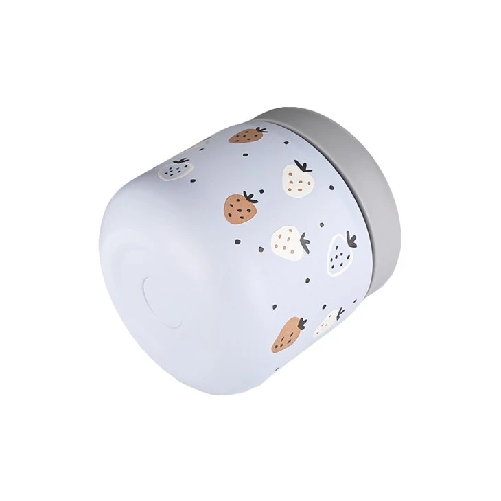 Stainless Steel Lunch Storage